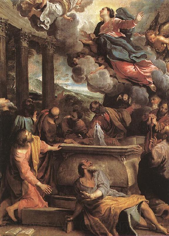 CARRACCI, Annibale Assumption of the Virgin sdf Norge oil painting art